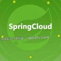 Spring Cloud微服务项目实战-百度网盘资源-下载