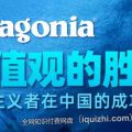 Patagonia：价值观的胜利，理想主义者在中国的成功之路-网盘-下载